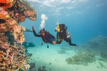 Explorer people underwater . Two adult person diving in first time on tropical reef with blue background, beautiful coral and small fish. Man pointing on top and holding woman by hand.