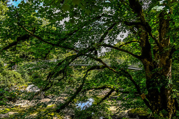 Les Brenets, le lac des Brenets, Doubs, Fluss, Brücke, Ausflug, le Saut-du-Doubs, Jura, Juramassiv, Wald, Wanderweg, Sommer, Kanton Neuenburg, Schweiz, Frankreich