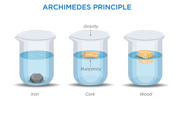 Archimedes' Principle Buoyant Force and Fluid Displacement