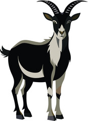 A realistic black and white Goat Vector Art 