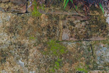 Aged Abstract texture