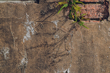 Aged Abstract texture