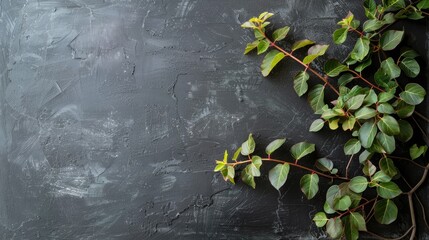 Autumn themed arrangement of green twigs with textured leaves on a black chalkboard against a white backdrop