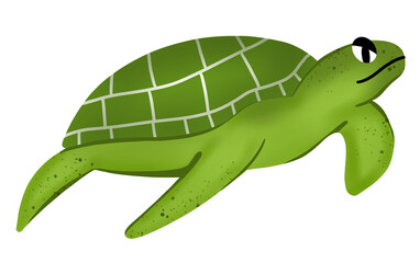 Green Turtle Cartoon Swimming Clipart and Illustration.

