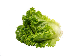 Fresh green lettuce on white background for salad isolated on white background. with clipping path.