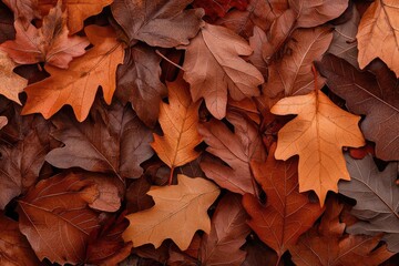 A closeup of a pile of crisp autumn leaves, their textures and colors rich and varied, capturing the essence of fall, Fall, leaf texture
