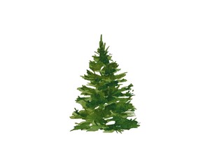 Isolated watercolor Christmas tree hand drawn White background