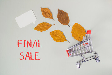 A shopping cart with leaves on it and the words Final Sale written on it