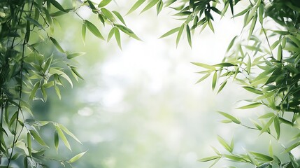 Fototapeta premium Lush Green Bamboo Leaves Framing a Soft White Background
