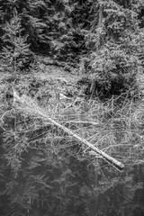 Bikaz Gorge and Lakul Roshu (Red Lake) - Eastern Carpathians - Romania - Europe