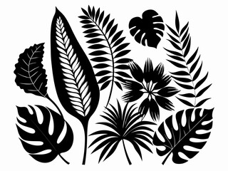 Silhouette jungle leaf. Abstract black palm tropical rainforest leaves. Decorative plants. Graphic foliage silhouettes and elements for design isolated on white background. Vector set
