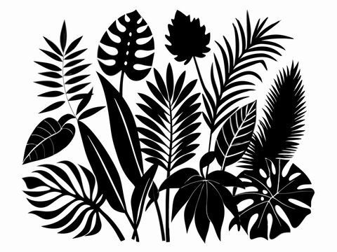 black tropical leaves on white background clip art preview