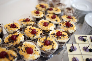 Sweet mousse decorated with berries on the buffet table.