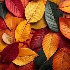 Fototapeta premium bunte Laubblätter seitlich, herbstlicher Hintergrund