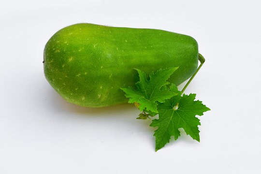 Benincasa hispida on isolated white background