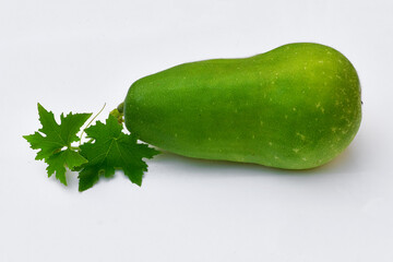 Benincasa hispida on isolated white background