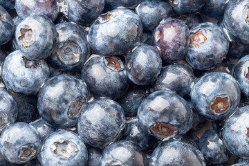 Blueberries covered with drops of water, close-up.