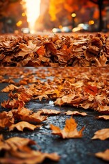 Beautiful autumn landscape with. Colorful foliage in the street 