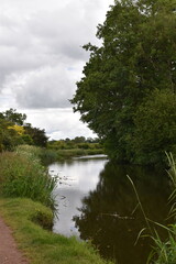 Obraz premium a walk along the grand Western canal in tiverton, Devon