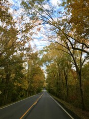 road in autumn