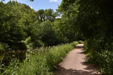 Fototapeta premium a walk along the grand Western canal in tiverton, Devon