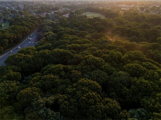 the Southern State Parkway on Long Island, NY at sunrise, Valley Stream State Park with green trees