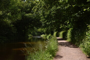 a walk along the grand Western canal in tiverton, Devon