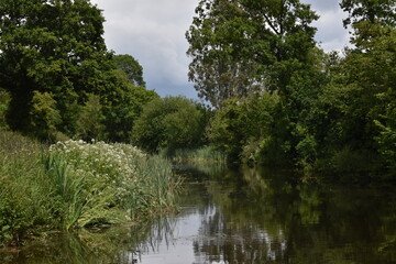Obraz premium a walk along the grand Western canal in tiverton, Devon