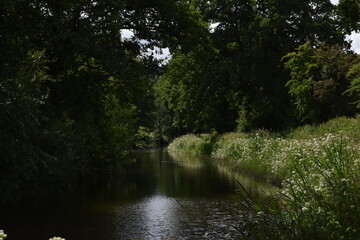 a walk along the grand Western canal in tiverton, Devon