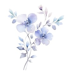 Obraz premium Minimalist Watercolor Floral Background - Subtle and Elegant Isolated