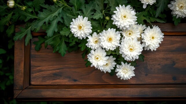 A simple wooden coffin with a bouquet of white magnolias resting at the foot