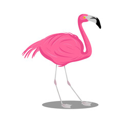 Fototapeta premium pink flamingo stands on one leg in a vector. A tropical bird on a white background.
