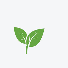Green leaf ecology nature element vector icon or green leaf logo design 