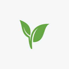 Green leaf ecology nature element vector icon or green leaf vector logo design 