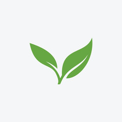 Green leaf ecology nature element vector icon or green leaf vector logo design 