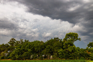Fototapeta premium storm clouds gather above treeline in late evening