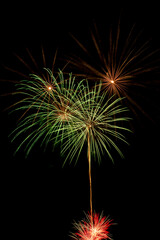 Close-up color photo of beautiful firework display resembling a palm tree against a dark black night sky background with copy space.