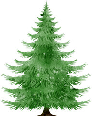 Watercolor Christmas Tree Illustration