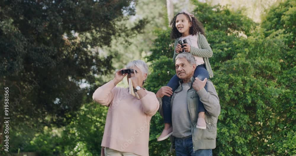 Poster Happy, carefree and exploring with binoculars, grandparents carrying granddaughter on outdoor adventure. Young girl having fun with her grandfather and grandmother enjoying a weekend together outside