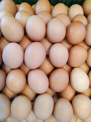Stack chicken eggs ready to be sold