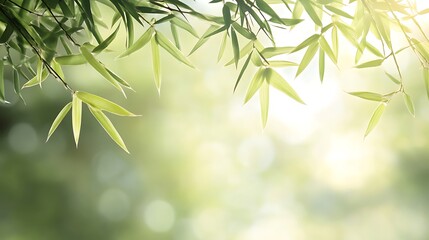 Fototapeta premium Green Bamboo Leaves Against a Blurred Green Background