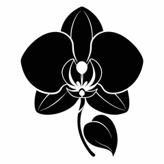 Orchid Black silhouette