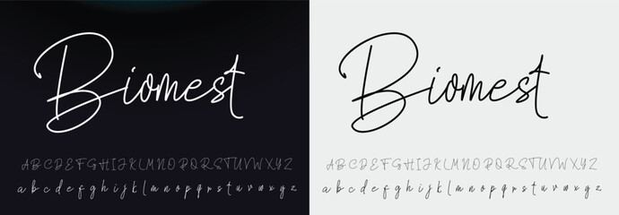 signature Font Calligraphy Logotype Script Brush Font Type Font lettering handwritten