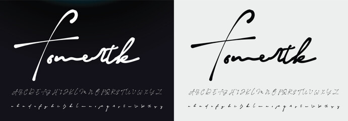 signature Font Calligraphy Logotype Script Brush Font Type Font lettering handwritten