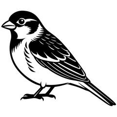 Fototapeta premium Sparrow Vector Art | Detailed Sparrow Illustration for Design Projects