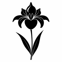 Iris Black silhouette