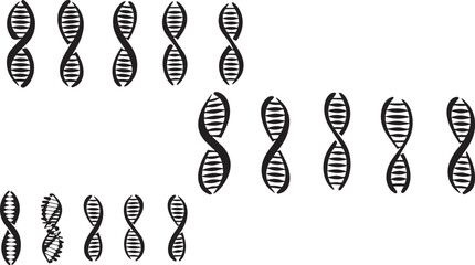 Spiral DNA   Artistic Silhouette Elements in Black