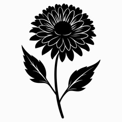 Calendula Black silhouette