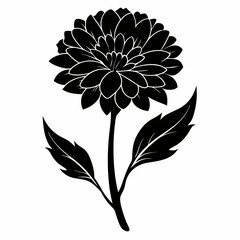 Calendula Black silhouette
