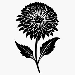 Calendula Black silhouette